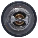 TERMOSTATO HYUNDAI GALLOPER| H-1  2.5 08-10| KIA MITSUBISHI (ECHLIN) (1305-A163)