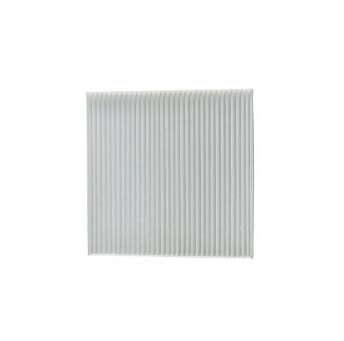 FILTRO POLEN JMC VIGUS 2.4-2.5 19-25 FILTEC (EGP2-19G245-AA)