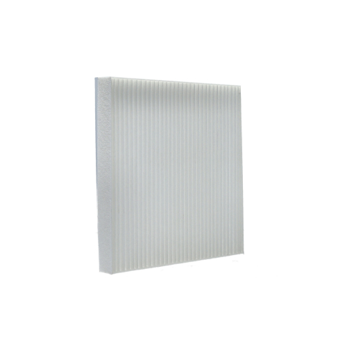 FILTRO POLEN JMC VIGUS 2.4-2.5 19-25 FILTEC (EGP2-19G245-AA)