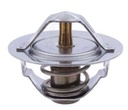 TERMOSTATO CHEVROLET LUV 2.3 1989-1998 (EXCENTRICO) 54MM -76.5° JP (W54E-76.5)