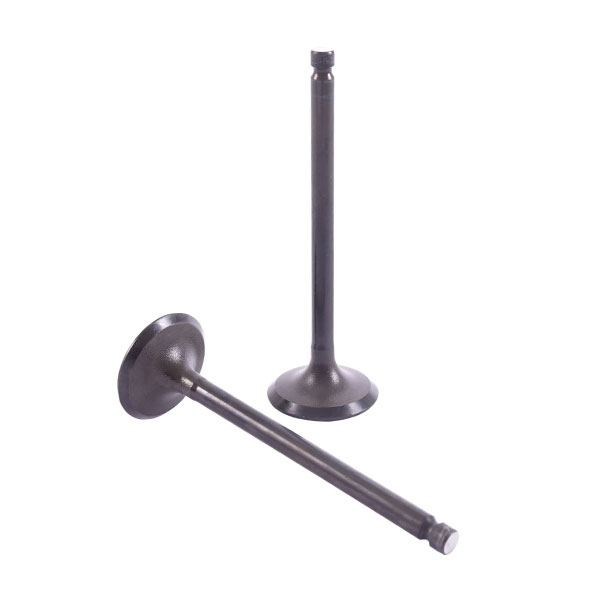 VALVULA ADMISION HYUNDAI ACCENT PRIME 1.5-1.6 01-06 16V/NEW ACCENT 1.4-11 16V ARG UB19F2