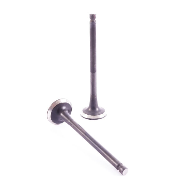 VALVULA ESCAPE HYUNDAI ACCENT PRIME 1.5-1.6 01-06 16V/NEW ACCENT 1.4-1.6 06-11 16V ARG UB19F2