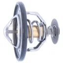 TERMOSTATO MAXUS T60 2.0-2.8 17-23 CH