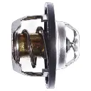 TERMOSTATO RENAULT SANDERO | CLIO| DUSTER| FLUENCE| KANGOO| LOGAN| MEGANE | SCENIC | SYMBOL | PLATINA 1.6 03- 89°C CON ORING CENTRICO ECHLIN