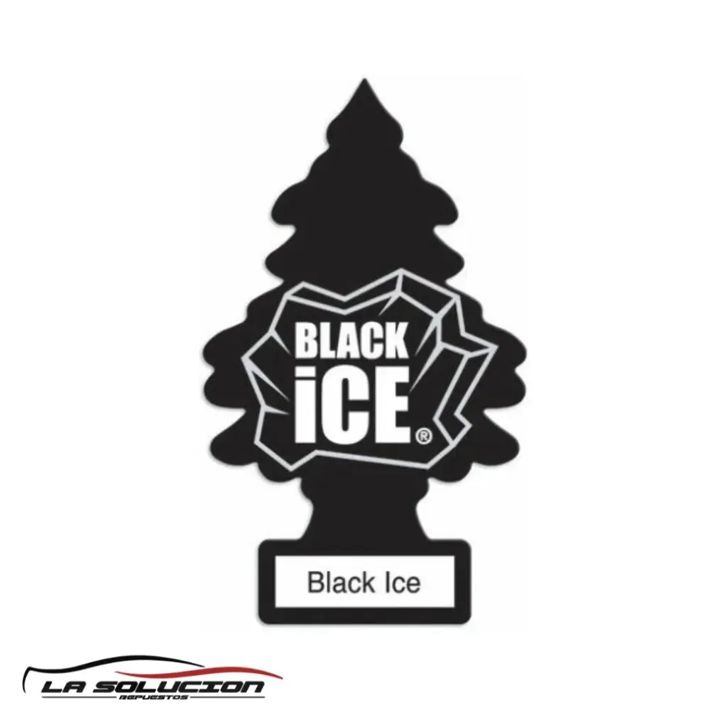 [24482] PINO AROMATICO HIELO NEGRO