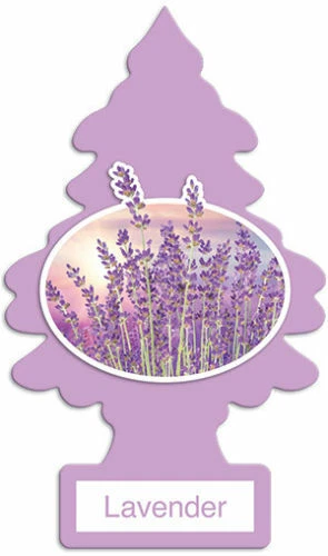 PINO AROMATICO LAVANDA
