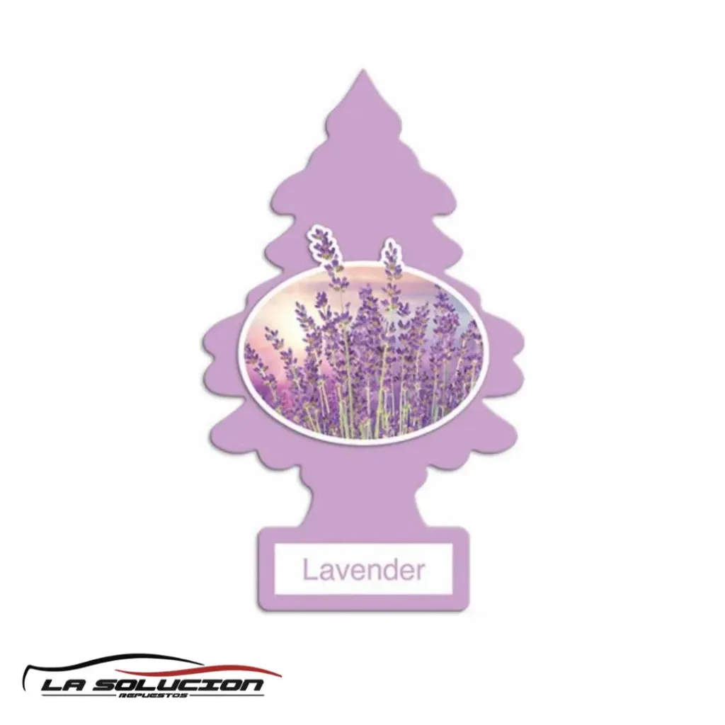 [24484] PINO AROMATICO LAVANDA