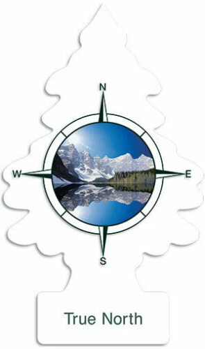 PINO AROMATICO TRUE NORTH