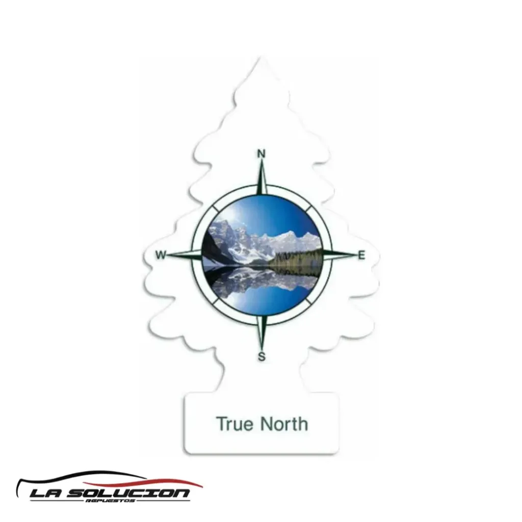 [24491] PINO AROMATICO TRUE NORTH