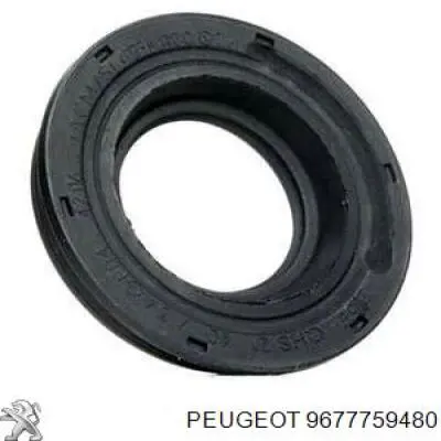 RETEN INYECTOR PEUGEOT BOXER 2.2 08-17 | JUMPER 2.2 02-17 DIESEL