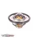 TERMOSTATO JMC VIGUS WORK 2.5 2021-2022 CHINA