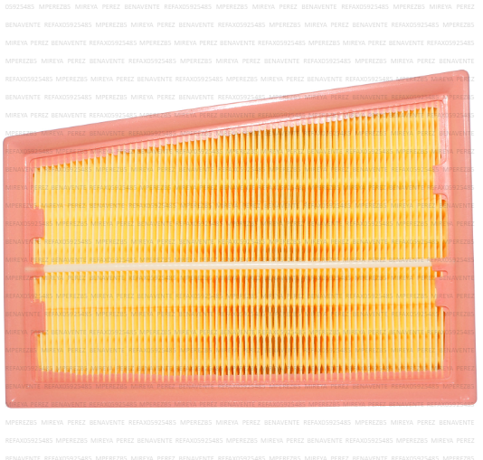 FILTRO AIRE NISSAN QASHQAI 09-14 TW C-2433/2 UB15D1