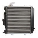 RADIADOR SUZUKI MARUTI 0.8 1995-1998| MARUTI II 0.8 1999-2009  CH