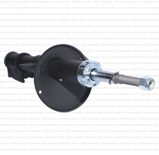 [19169] AMORTIGUADOR DELANTERO RENAULT DUSTER 1.6-2.0 09-18 GAS TW (8200813791) UB00