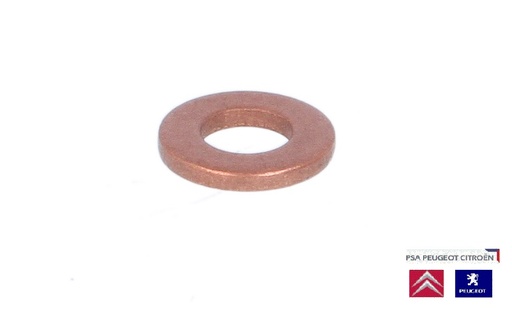 [24526] GOLILLA INYECTOR CITROEN JUMPER 2.2 08-13 | PEUGEOT BOXER 2.2 08-17 ORIGINAL FR